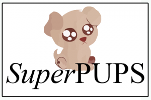 SuperPUPS @ JUMP Agility Dog Club | Cape Town | Western Cape | South Africa