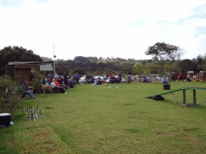 Beginner Competition @ JUMP Agility Dog Club | Cape Town | Western Cape | South Africa