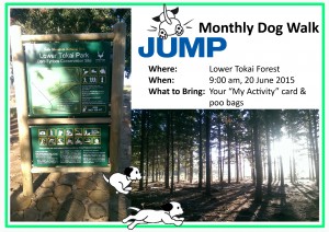 June Dog Walk @ Lower Tokai Forest | Cape Town | Western Cape | South Africa